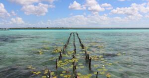 Axess Inversiones Inmobiliarias - Bacalar